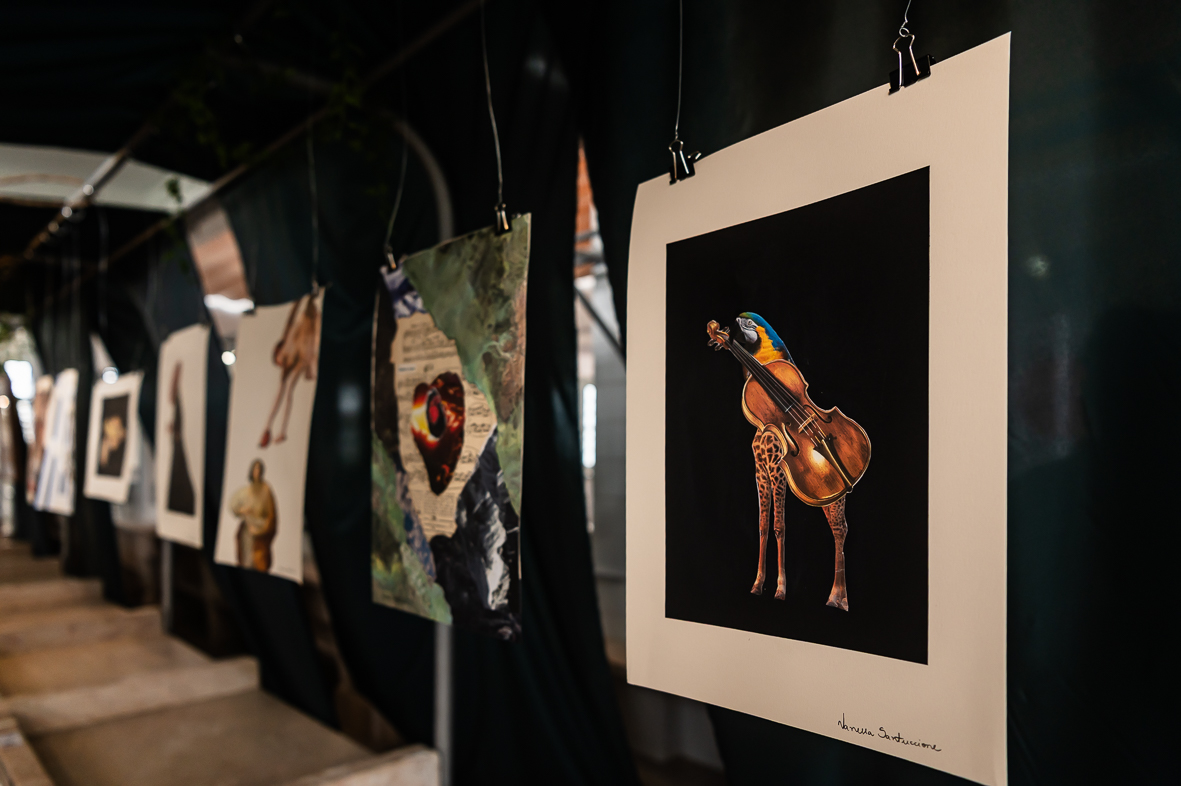 Exhibitions